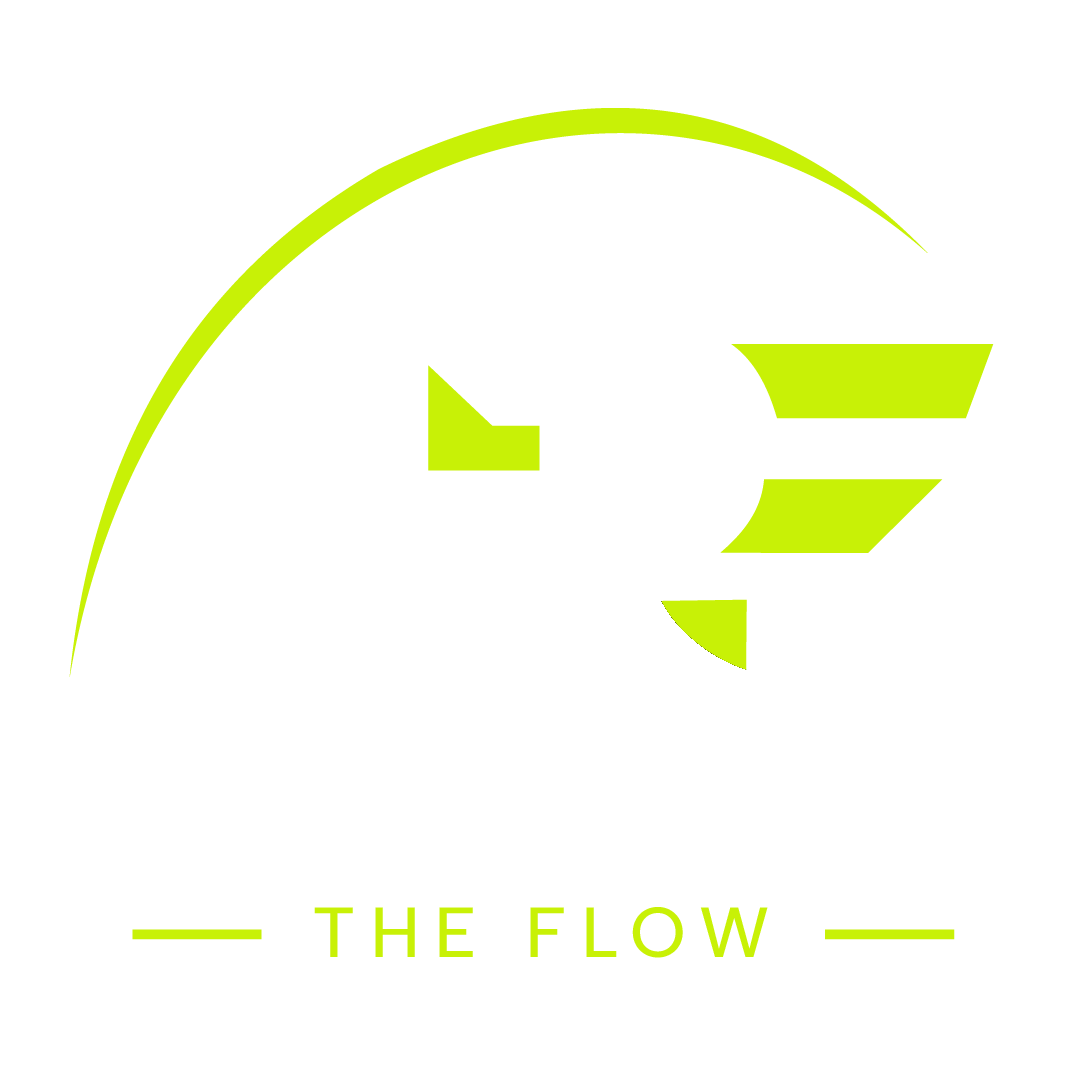 Ninja Parkour Fest 1.0 — The Flow logo